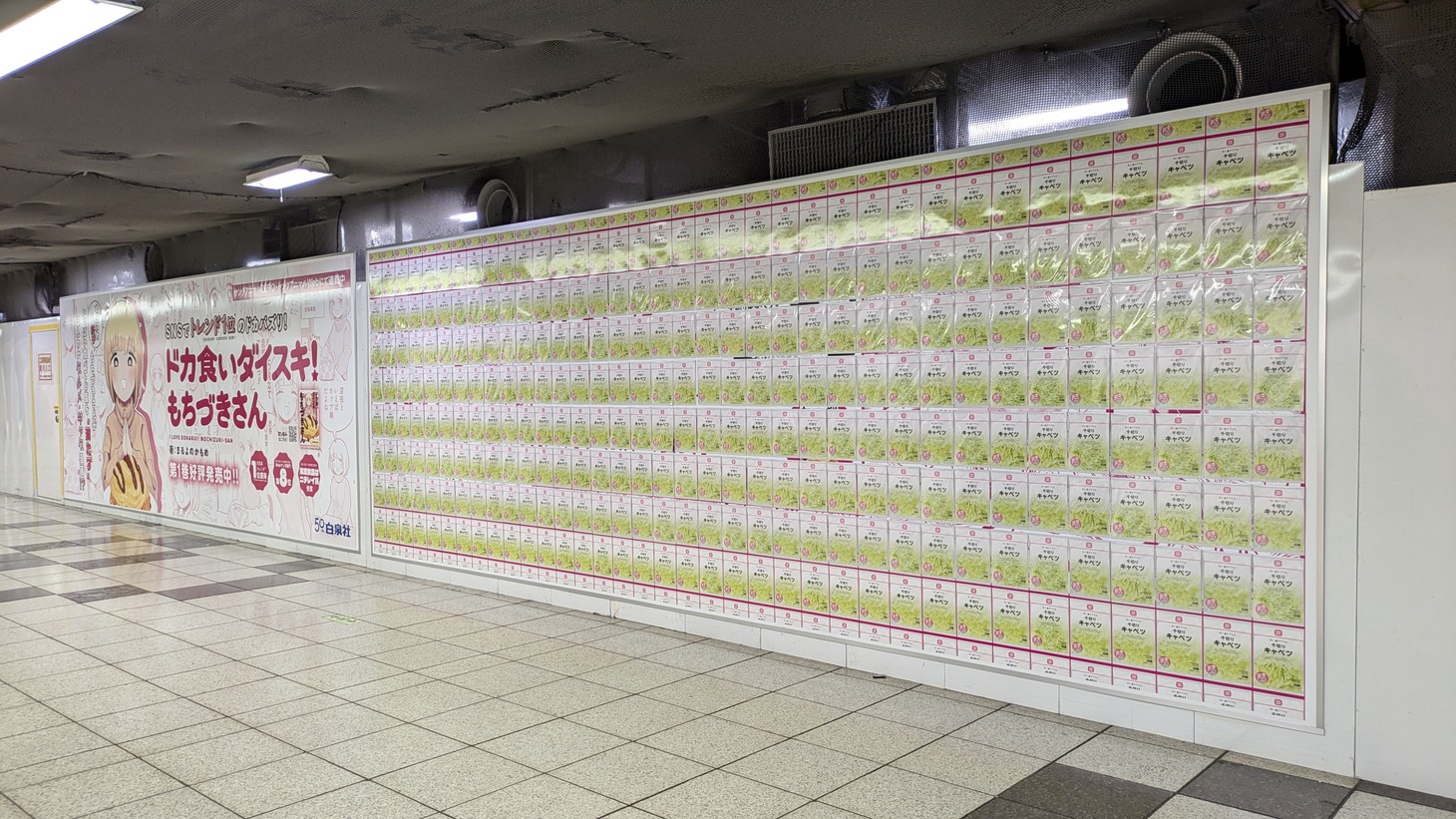 「ドカ食いダイスキ！もちづきさん」ピールオフ広告