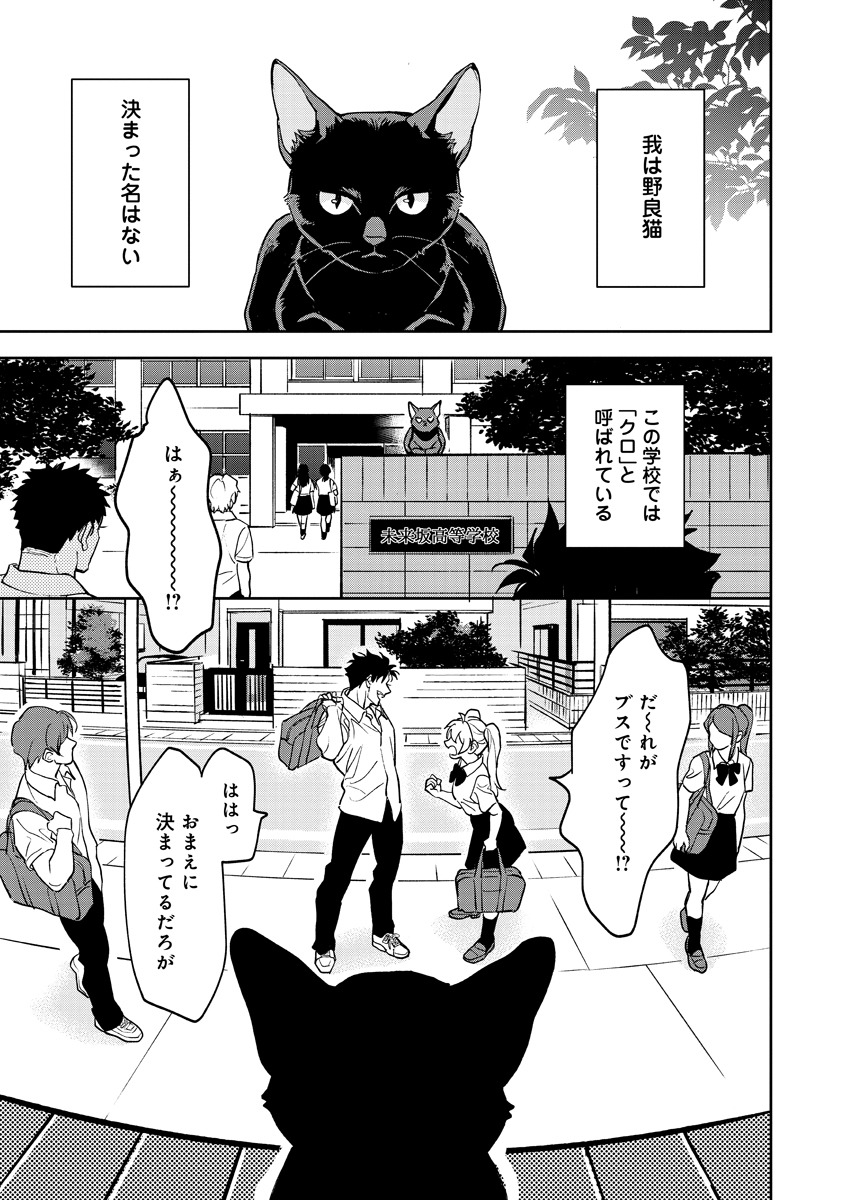 「猫は奴らを知っている」より。
