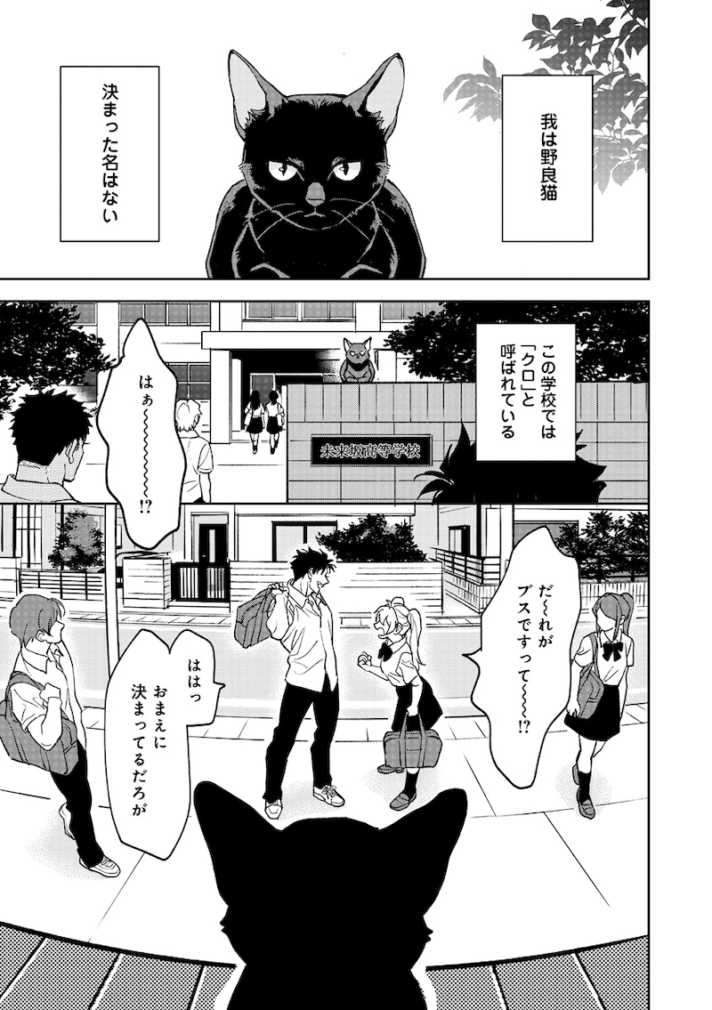 「猫は奴らを知っている」より。