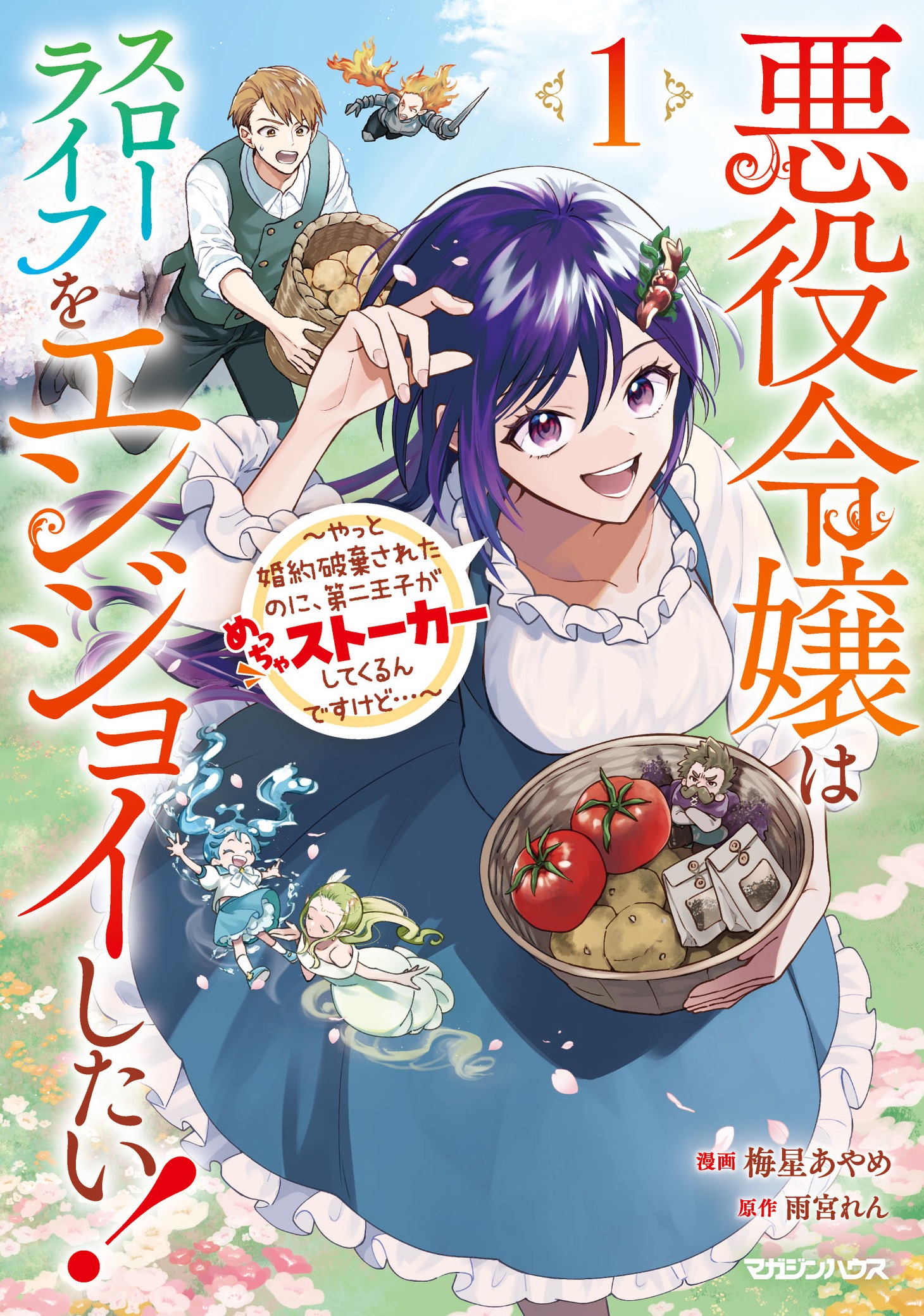「悪役令嬢はスローライフをエンジョイしたい！～やっと婚約破棄されたのに、第二王子がめっちゃストーカーしてくるんですけど…～」1巻