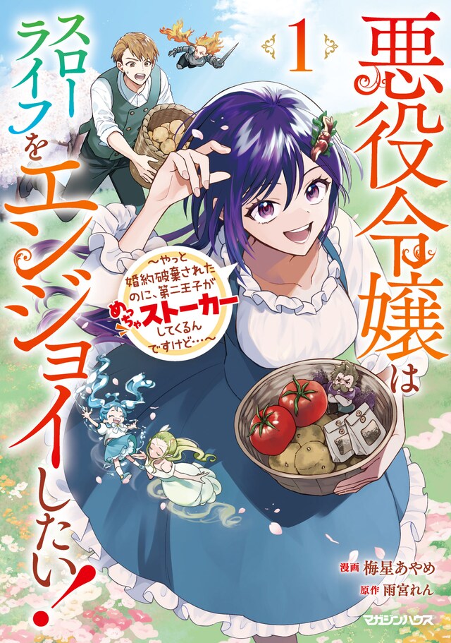 「悪役令嬢はスローライフをエンジョイしたい！～やっと婚約破棄されたのに、第二王子がめっちゃストーカーしてくるんですけど…～」1巻