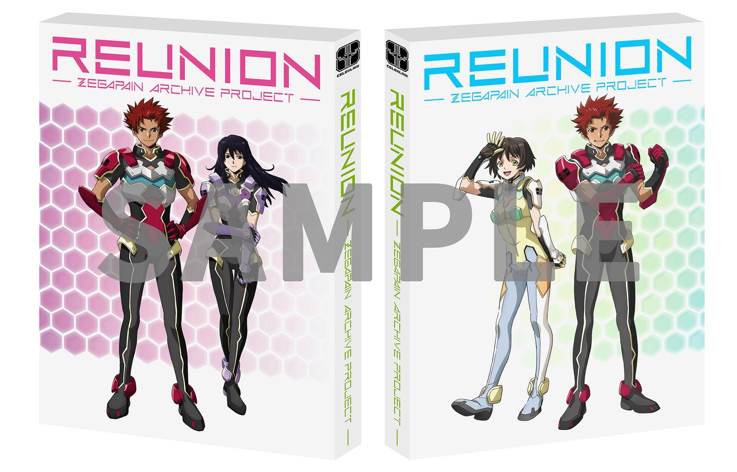 「REUNION -ZEGAPAIN ARCHIVE PROJECT-」