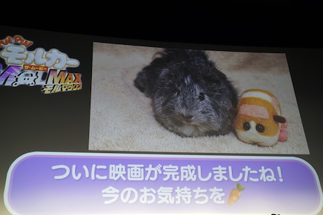 糸さんからのメッセージ動画より