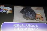 糸さんからのメッセージ動画の様子。