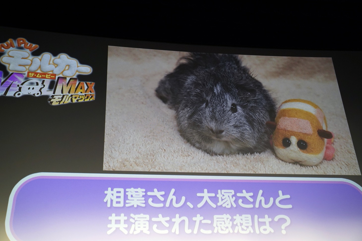 糸さんからのメッセージ動画より