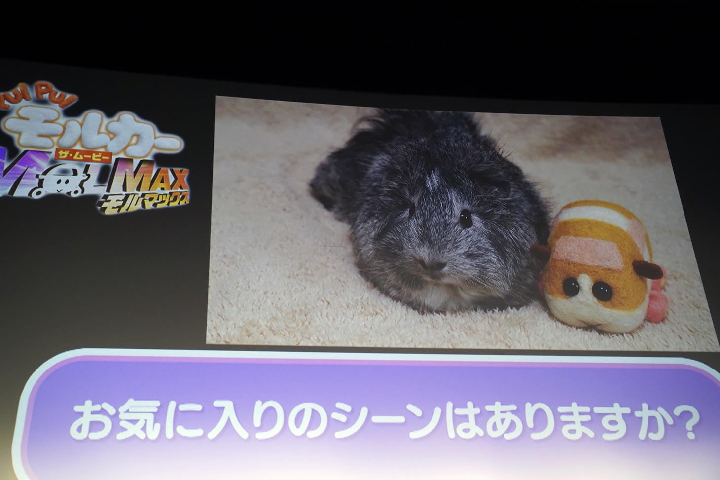 糸さんからのメッセージ動画より