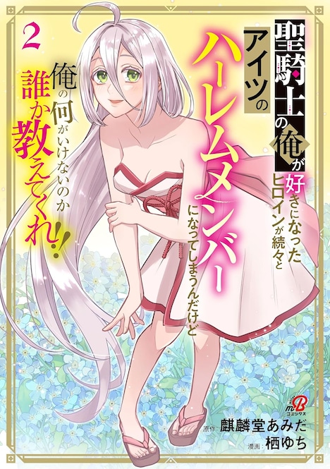 「聖騎士の俺が好きになったヒロインが続々とアイツのハーレムメンバーになってしまうんだけど俺の何がいけないのか誰か教えてくれ!!」2巻