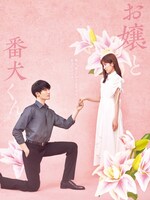 映画「お嬢と番犬くん」ティザーチラシビジュアル