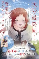 「シンデレラの義理姉に転生したけどふたりの王子に溺愛されています」扉ページ