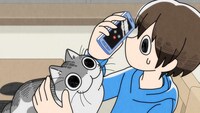 アニメ「夜は猫といっしょ」第3期PVより。