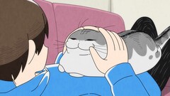 「夜は猫といっしょ」悠木碧が黒猫と三毛猫演じる、江口拓也はフータくんの先輩役