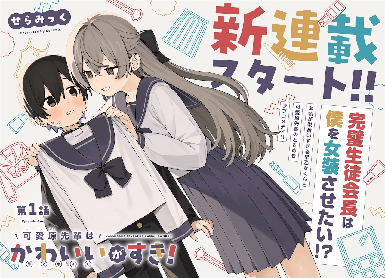 かわいい系男子に完璧生徒会長が持ちかけてきた取引は…女装？秘密の勉強会が始まる