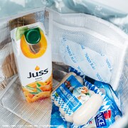 「BIG保冷トートバッグBOOK」のイメージ。