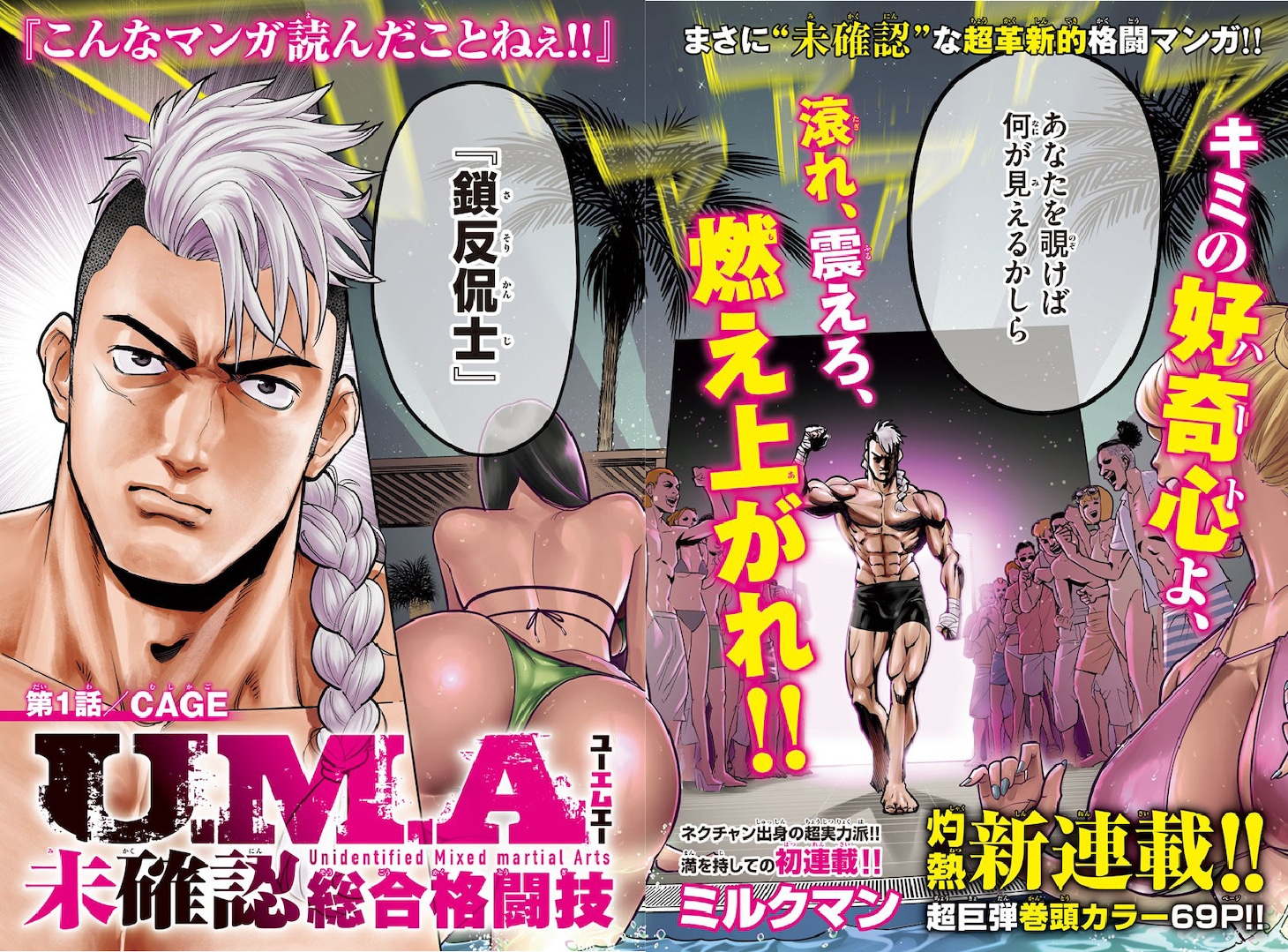 「U.M.A ～未確認総合格闘技～」より。