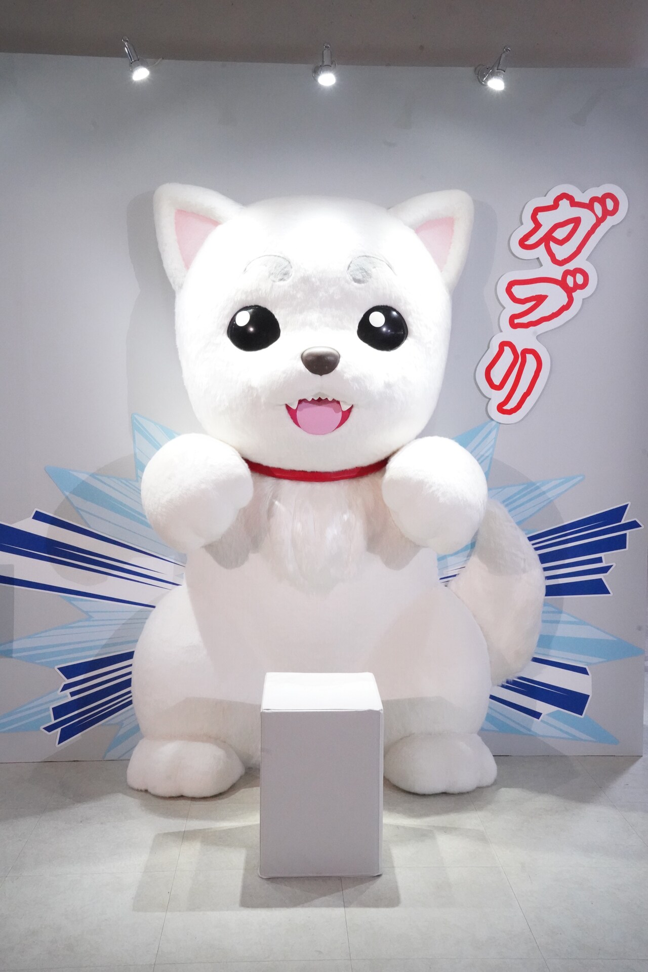 生誕20周年記念 銀魂展 ～はたちのつどい～」の様子。定春に頭をガブリ