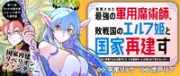 「処刑された最強の軍用魔術師、敗戦国のエルフ姫と国家再建す～祖国よ邪魔するのは勝手だが、その魔術作ったの俺なので効かないが？～」バナー。