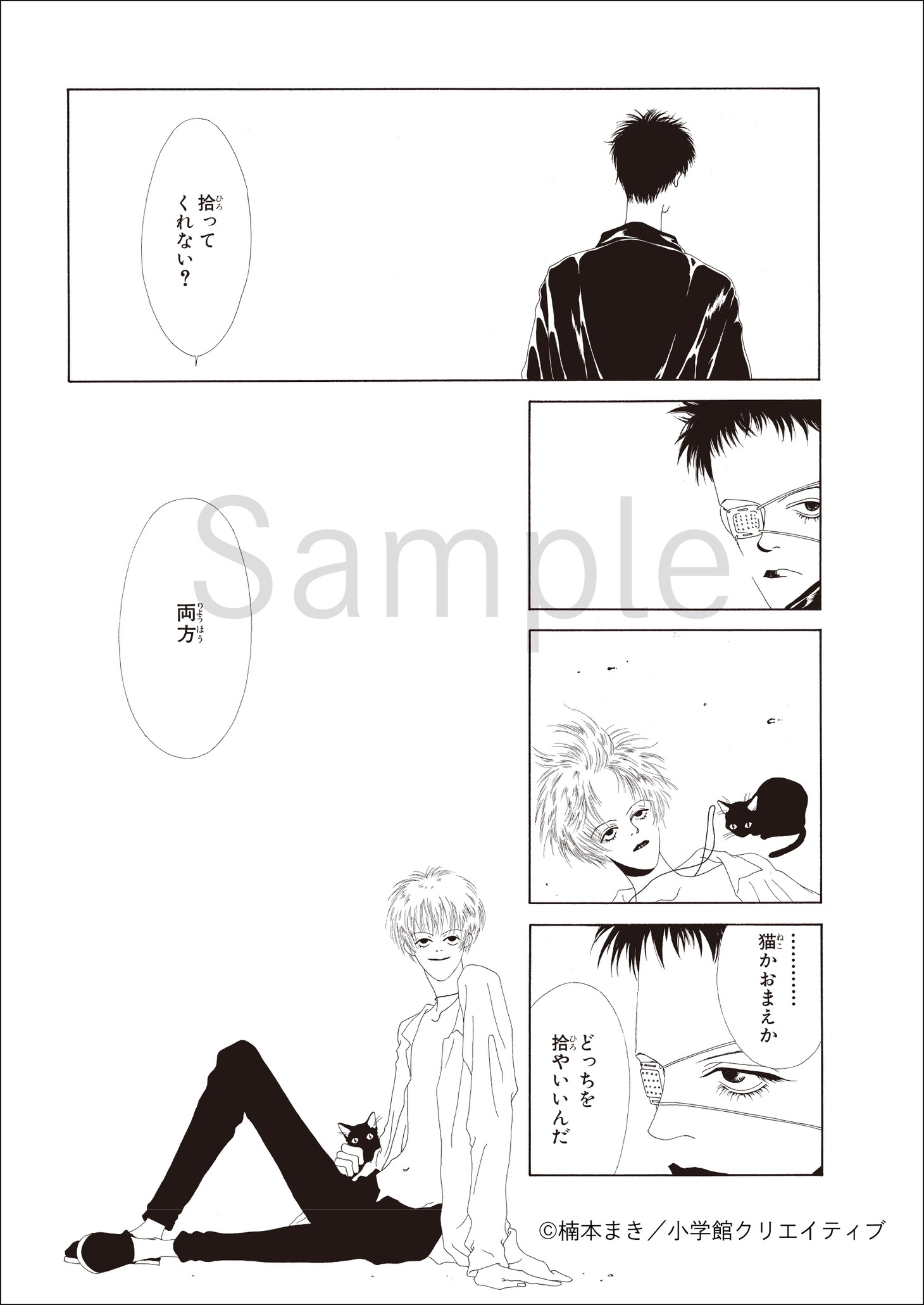 「T.V.eye 愛蔵版 ＜楠本まきコレクション＞」より。