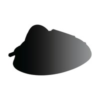 「ドリームトミカ トミ、カ×ドラゴンボール」シリーズより「牛魔王の車」のシルエット。