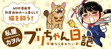 私屋カヲルの新連載「ブリちゃん日記～猫なら産みたい～」のバナー。