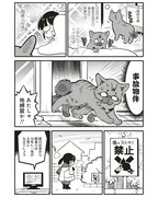 私屋カヲルの新連載「ブリちゃん日記～猫なら産みたい～」より。