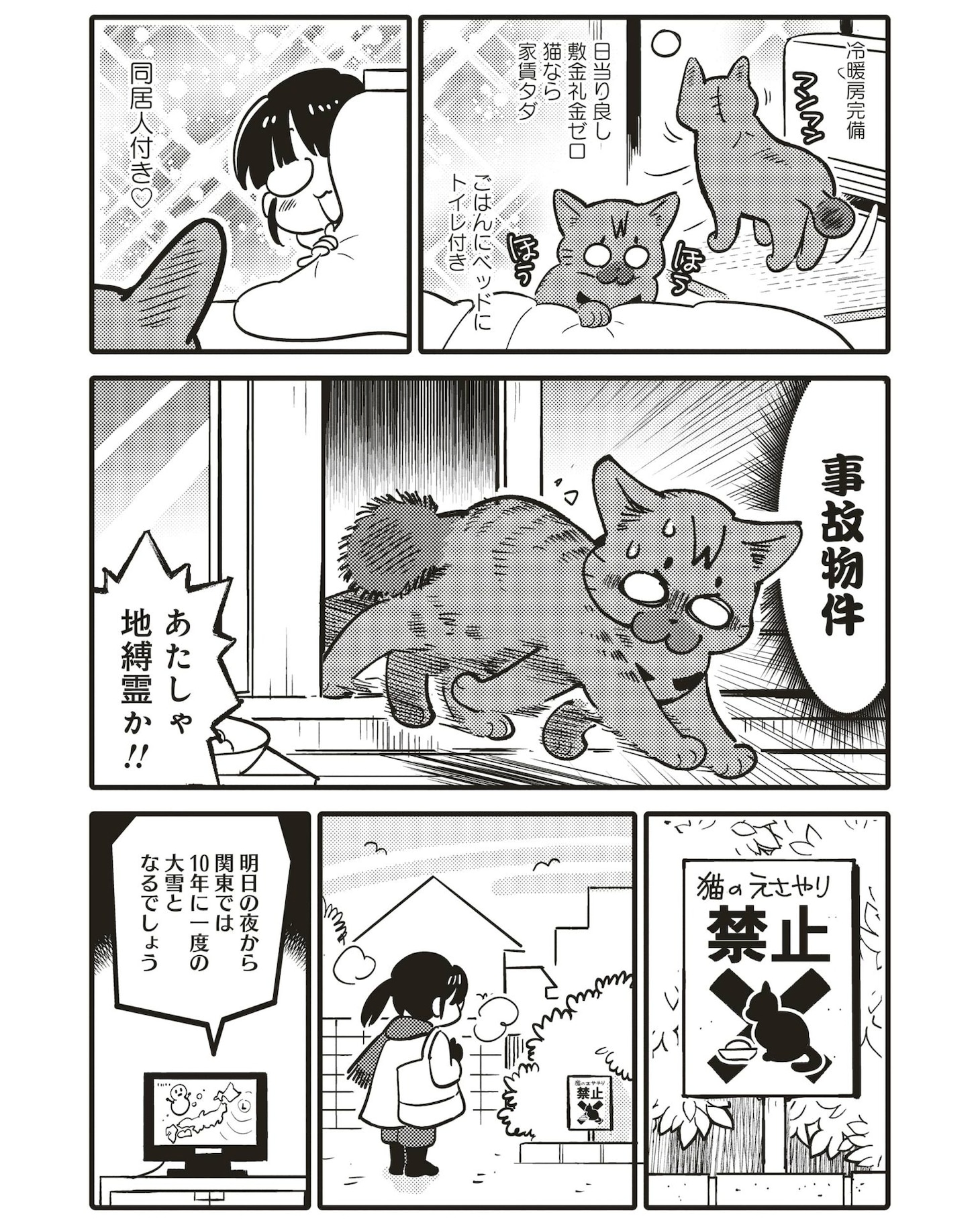私屋カヲルの新連載「ブリちゃん日記～猫なら産みたい～」より。