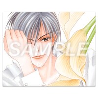 「F3キャラファインボードB：佐野泉」