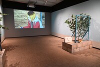 「『劇場版ハイキュー!! ゴミ捨て場の決戦』展」の様子。