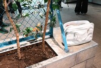 「『劇場版ハイキュー!! ゴミ捨て場の決戦』展」の様子。