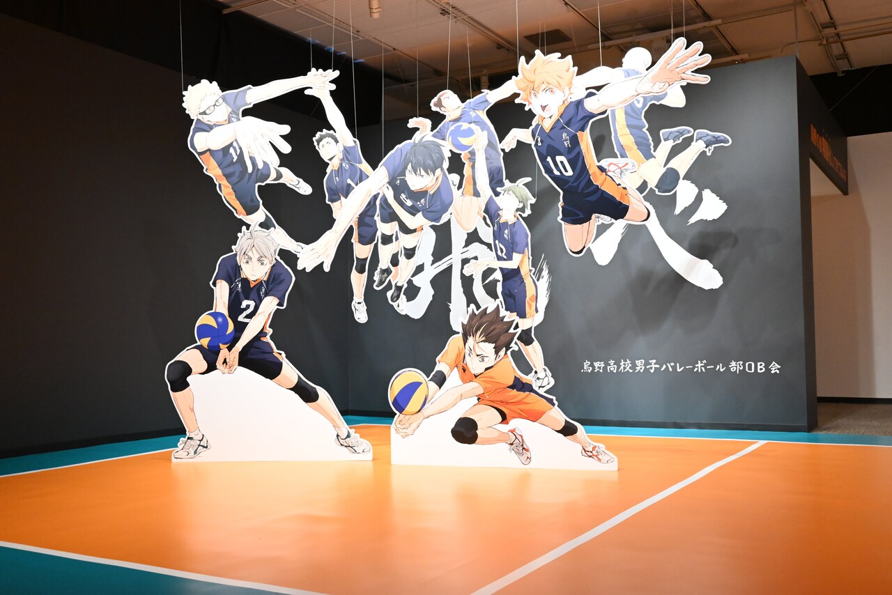 日本代購代標第一品牌[樂淘letao]－劇場版 ハイキュー 映画 非売品