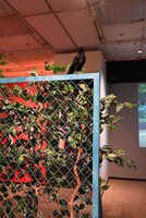 「『劇場版ハイキュー!! ゴミ捨て場の決戦』展」の様子。