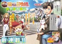 「神猫ミーちゃんと猫用品召喚師の異世界奮闘記」より。