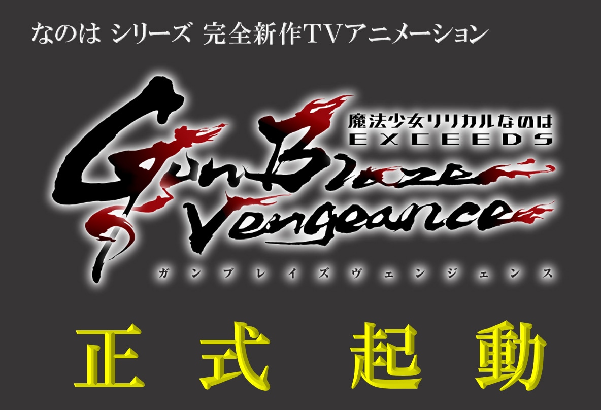 「魔法少女リリカルなのは EXCEEDS Gun Blaze Vengeance」より。