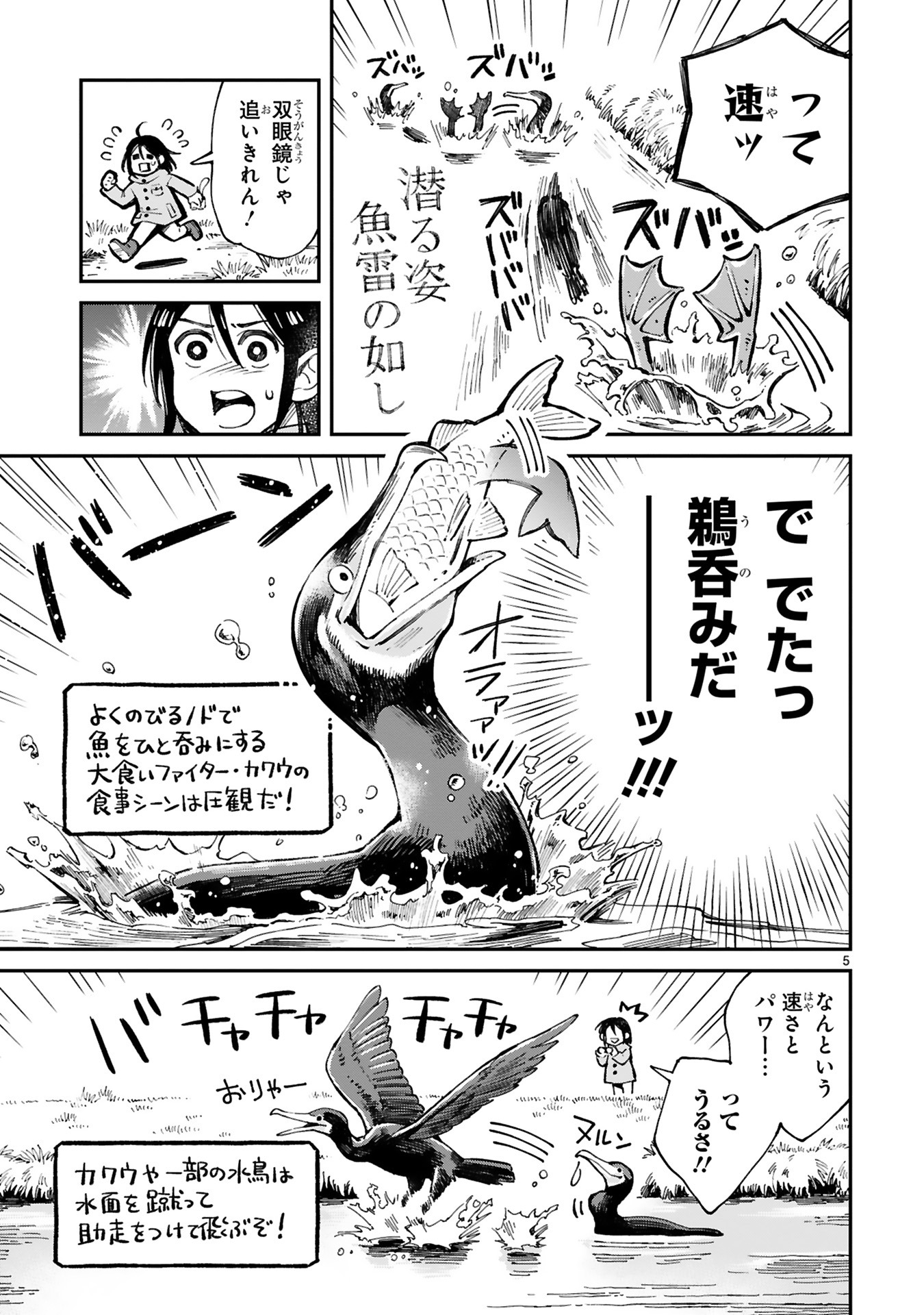 「まいにち鳥びより」より。