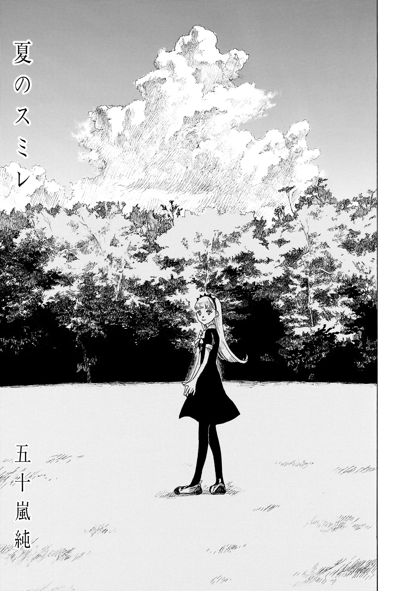五十嵐純「夏のスミレ」より。