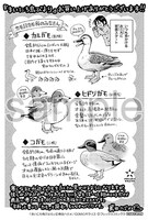 「まいにち鳥びより」購入特典（その他書店）