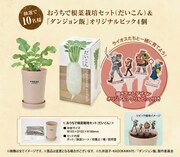 三幸製菓と「ダンジョン飯」の公式Xで展開されるプレゼントキャンペーンのアイテム。