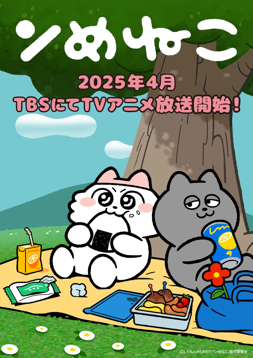 アニメ「ンめねこ」キービジュアル