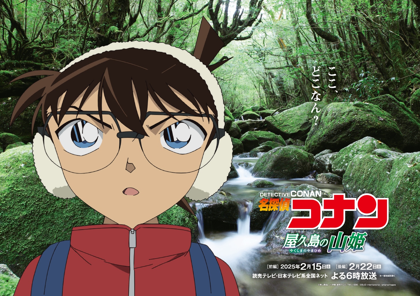 TVアニメ「名探偵コナン」オリジナルエピソード「屋久島の山姫（前編・後編）」放送記念ビジュアル。  (c)青山剛昌／小学館・読売テレビ・TMS 1996 (c)BUD international/amanaimages