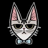 ネコピ・ザ・キャット