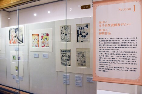 「漫画家生活60周年記念 青池保子展 Contrail 航跡のかがやき」の様子。