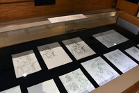 「漫画家生活60周年記念 青池保子展 Contrail 航跡のかがやき」の様子。