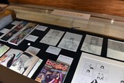 「漫画家生活60周年記念 青池保子展 Contrail 航跡のかがやき」の様子。