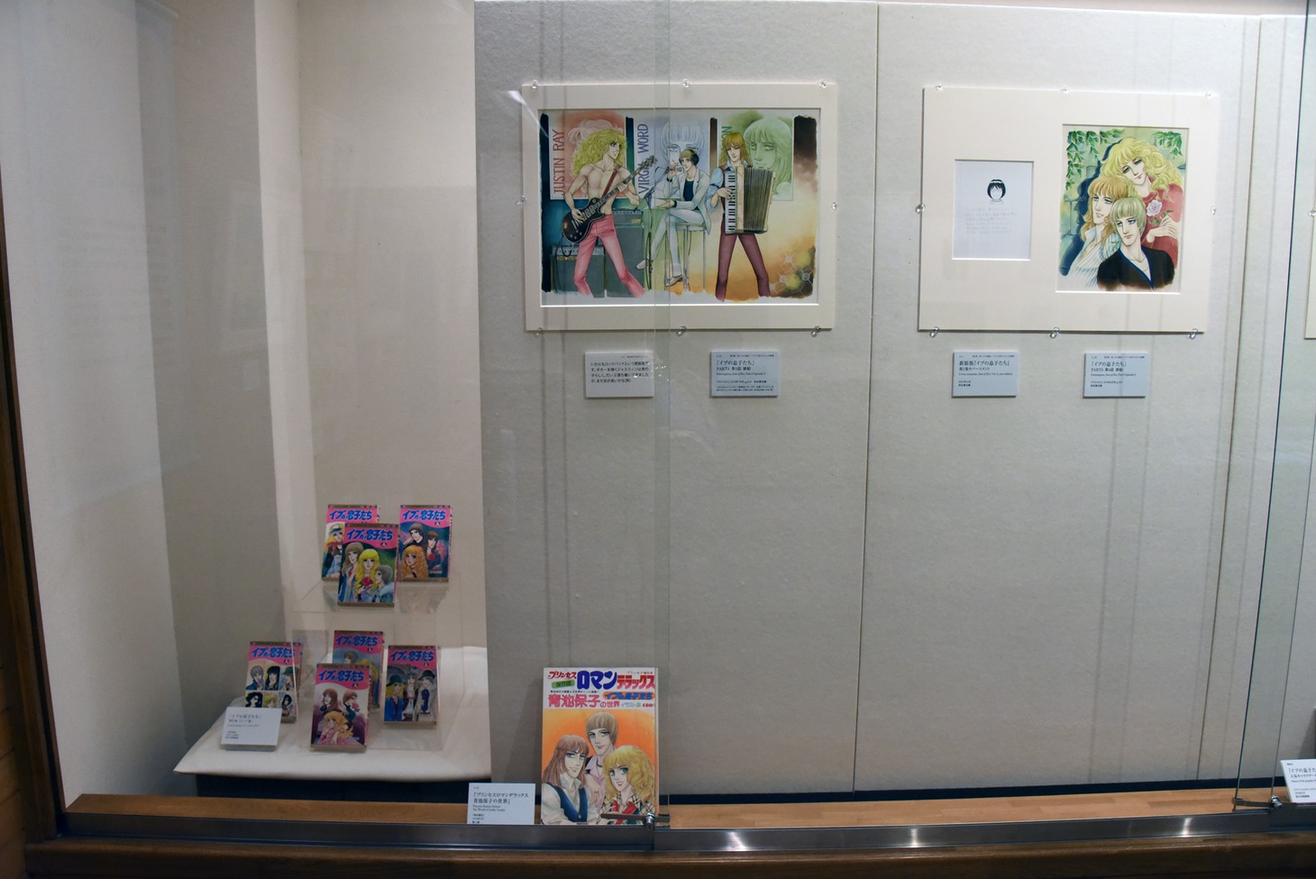 「漫画家生活60周年記念 青池保子展 Contrail 航跡のかがやき」の様子。