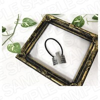 「アニタの髪留め」