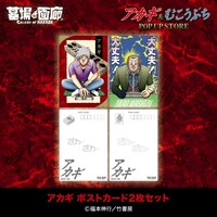 「『アカギ』&『むこうぶち』POP UP STORE」で販売される「アカギ ポストカード2枚セット」。