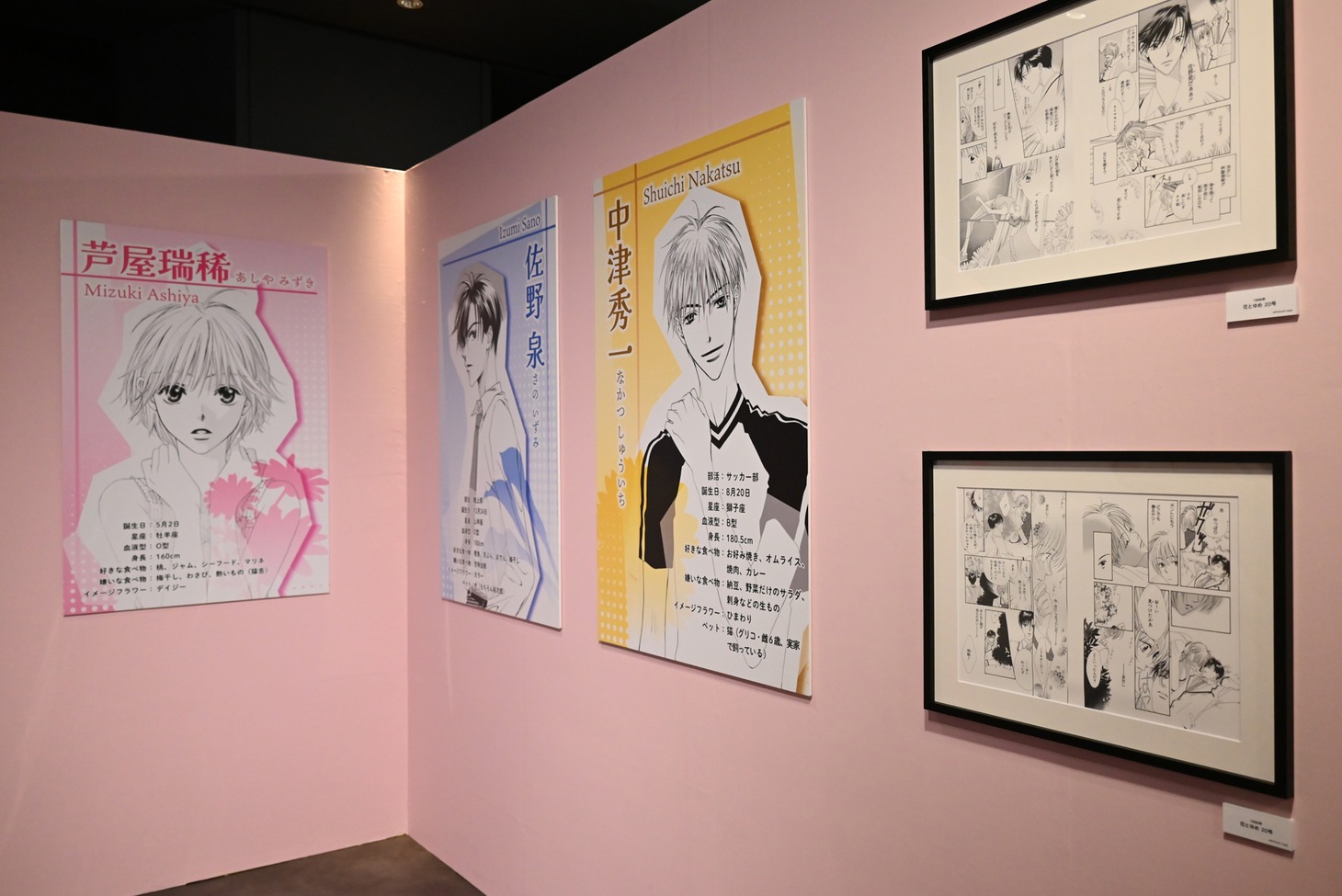 「～中条比紗也 画業30年の軌跡～ 花ざかりの君たちへ展」より。