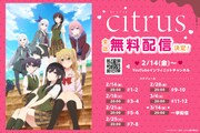 アニメ「citrus」無料公開の告知画像。