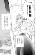 「仕事人間な伯爵令嬢は氷の宰相様の愛を見誤っている」より