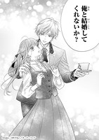 「仕事人間な伯爵令嬢は氷の宰相様の愛を見誤っている」より