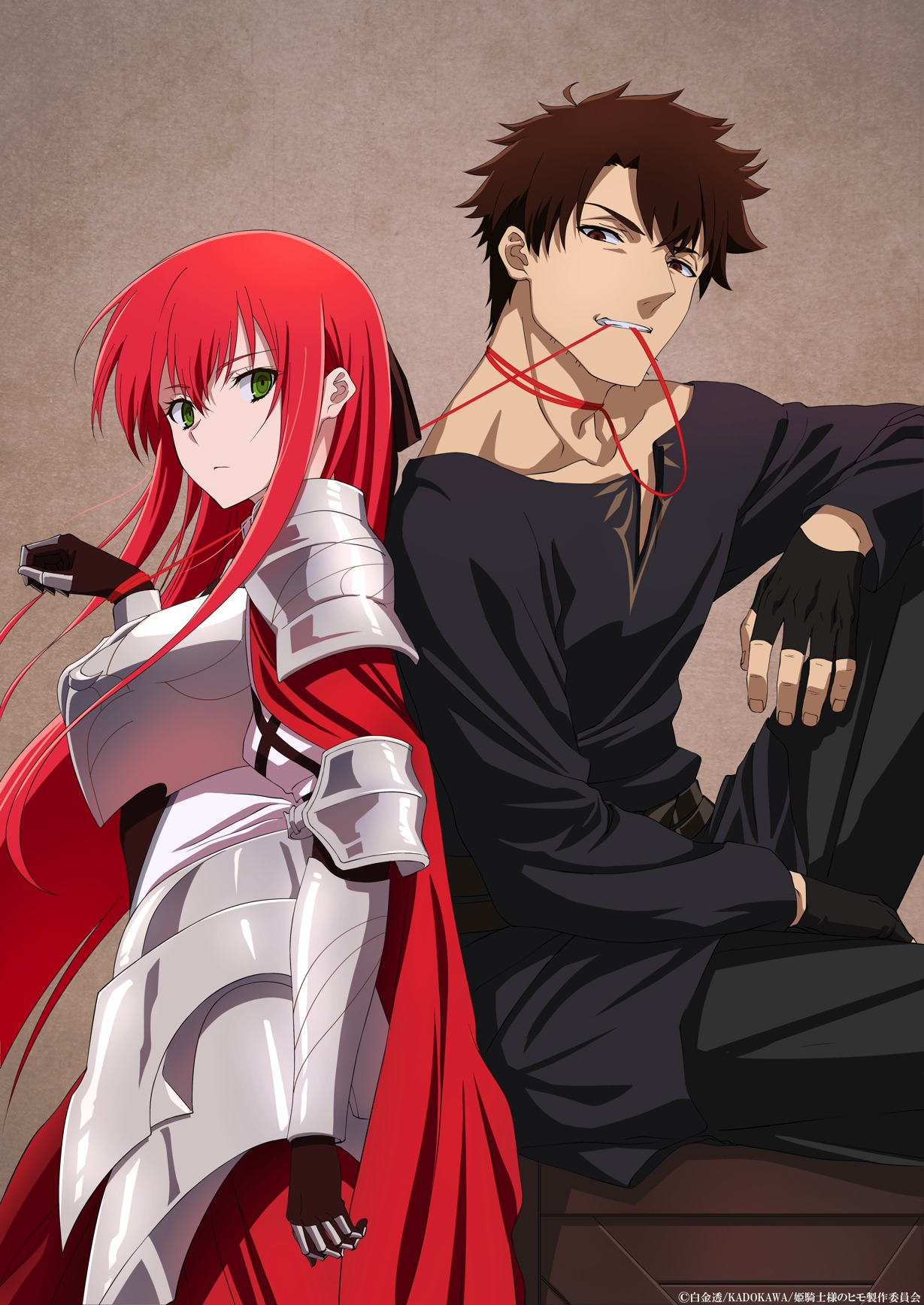 「姫騎士様のヒモ」アニメ化記念イラスト (c)白金透/KADOKAWA/姫騎士様のヒモ製作委員会